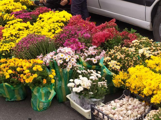 Сільськогосподарський ярмарок на Прибузькій: що продають і які ціни, фото №15 на сайті vsim.ua