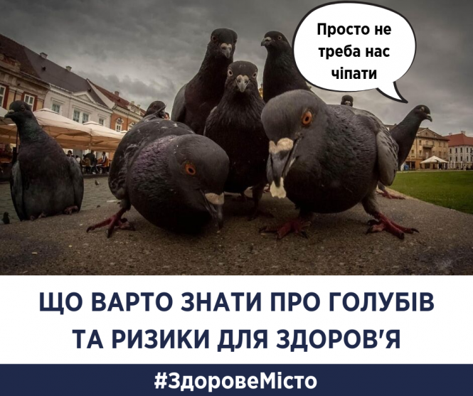 Новини Тернополя - фото з Чому не всім корисно фотографуватися з голубами: Уляна Супрун Чому не всім корисно фотографуватися з голубами: Уляна Супрун, фото №1 на сайті 20minut.ua