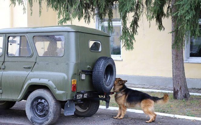 Новини Вінниці - фото з «Бархан мені — як брат! Такого відданого собаки у мене ще не було» «Бархан мені — як брат! Такого відданого собаки у мене ще не було», фото №4 на сайті 20minut.ua