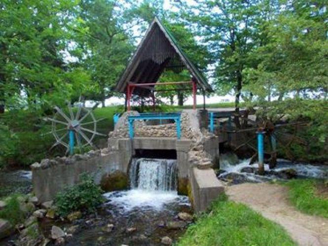 У парку «Топільче» хочуть облаштувати японський сад, вартістю понад 1 мільйон, фото №5 на сайті 20minut.ua