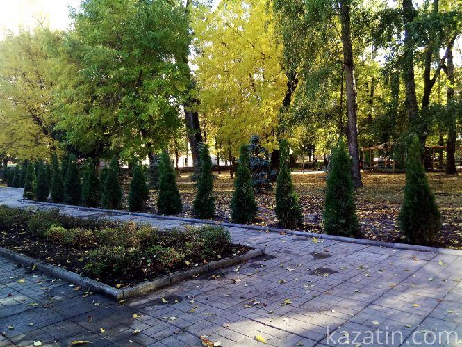 Новини Козятина - фото з На місці дошки пошани висадили туї На місці дошки пошани висадили туї, фото №2 на сайті 20minut.ua