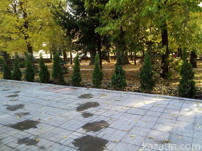 Новини Козятина - фото з На місці дошки пошани висадили туї На місці дошки пошани висадили туї, фото №1 на сайті 20minut.ua
