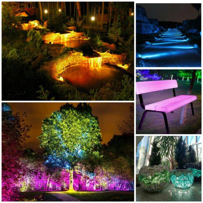 У парку «Топільче» хочуть облаштувати японський сад, вартістю понад 1 мільйон, фото №4 на сайті 20minut.ua