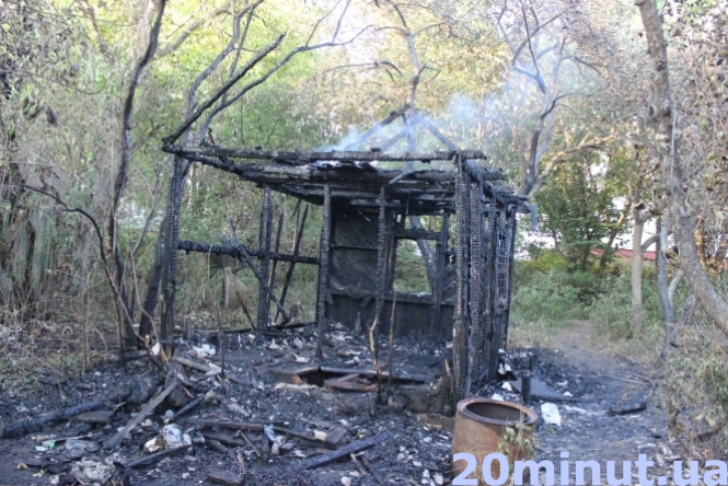 Новини Тернополя - фото з Війна за землю: парк на Алясці поки не будуватимуть