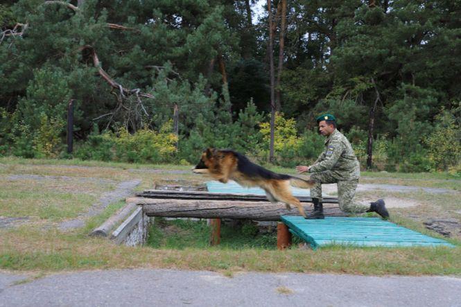 Новини Вінниці - фото з «Бархан мені — як брат! Такого відданого собаки у мене ще не було» «Бархан мені — як брат! Такого відданого собаки у мене ще не було», фото №2 на сайті 20minut.ua