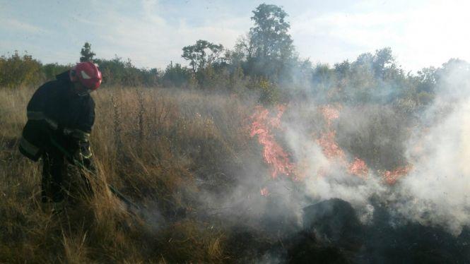 Горить-палає: на Житомирщині знову горіло 7,5 га сухої трави, фото №1 на сайті 20minut.ua