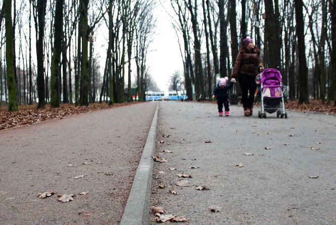 Новини Вінниці - фото з Осушили та обкладають гранітом: триває ремонт скверу навколо озера на Максимовича Осушили та обкладають гранітом: триває ремонт скверу навколо озера на Максимовича, фото №6 на сайті 20minut.ua