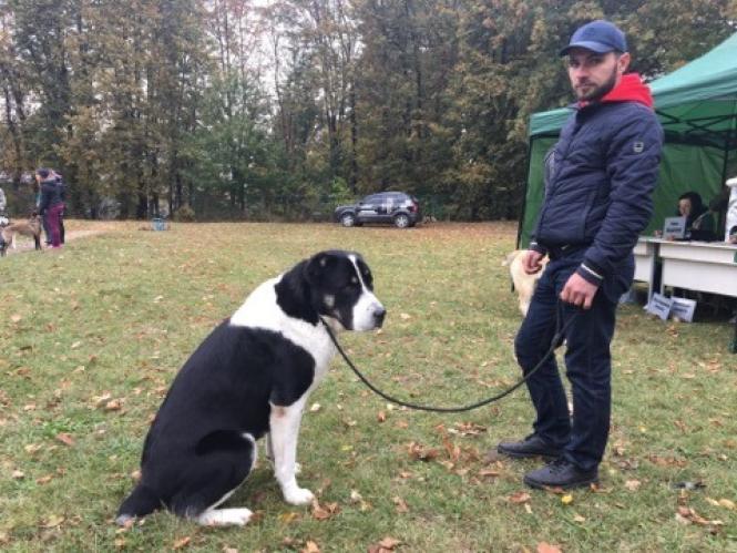 Новини Хмельницького - фото з Лабрадор Барні та бульдог Джайна: які собаки були на виставці у Хмельницькому (ФОТО) Лабрадор Барні та бульдог Джайна: які собаки були на виставці у Хмельницькому (ФОТО), фото №6 на сайті vsim.ua