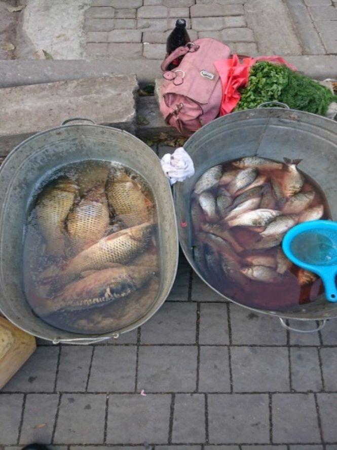 Новини Хмельницького - фото з На Хмельниччині браконьєри виловили риби на майже 90 тисяч гривень На Хмельниччині браконьєри виловили риби на майже 90 тисяч гривень, фото №2 на сайті vsim.ua