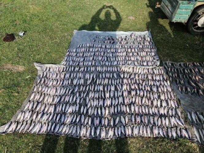 Новини Хмельницького - фото з На Хмельниччині браконьєри виловили риби на майже 90 тисяч гривень На Хмельниччині браконьєри виловили риби на майже 90 тисяч гривень, фото №4 на сайті vsim.ua