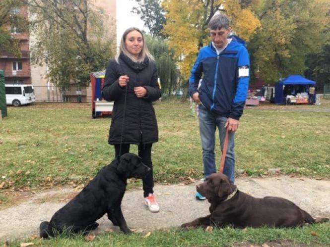 Новини Хмельницького - фото з Лабрадор Барні та бульдог Джайна: які собаки були на виставці у Хмельницькому (ФОТО) Лабрадор Барні та бульдог Джайна: які собаки були на виставці у Хмельницькому (ФОТО), фото №1 на сайті vsim.ua