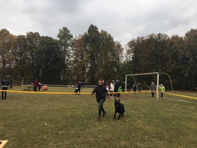 Новини Хмельницького - фото з Лабрадор Барні та бульдог Джайна: які собаки були на виставці у Хмельницькому (ФОТО) Лабрадор Барні та бульдог Джайна: які собаки були на виставці у Хмельницькому (ФОТО), фото №7 на сайті vsim.ua