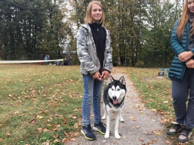 Новини Хмельницького - фото з Лабрадор Барні та бульдог Джайна: які собаки були на виставці у Хмельницькому (ФОТО) Лабрадор Барні та бульдог Джайна: які собаки були на виставці у Хмельницькому (ФОТО), фото №5 на сайті vsim.ua