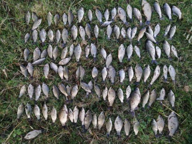 Новини Хмельницького - фото з На Хмельниччині браконьєри виловили риби на майже 90 тисяч гривень На Хмельниччині браконьєри виловили риби на майже 90 тисяч гривень, фото №5 на сайті vsim.ua