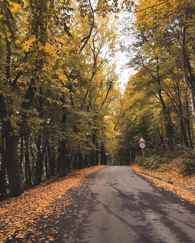 ТОП-10 місць в Тернополі, де  ще можна зробити осінню фотосесію (підбірка з Іnstagram), фото №4 на сайті 20minut.ua