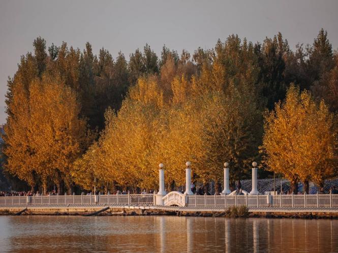 ТОП-10 місць в Тернополі, де  ще можна зробити осінню фотосесію (підбірка з Іnstagram), фото №1 на сайті 20minut.ua