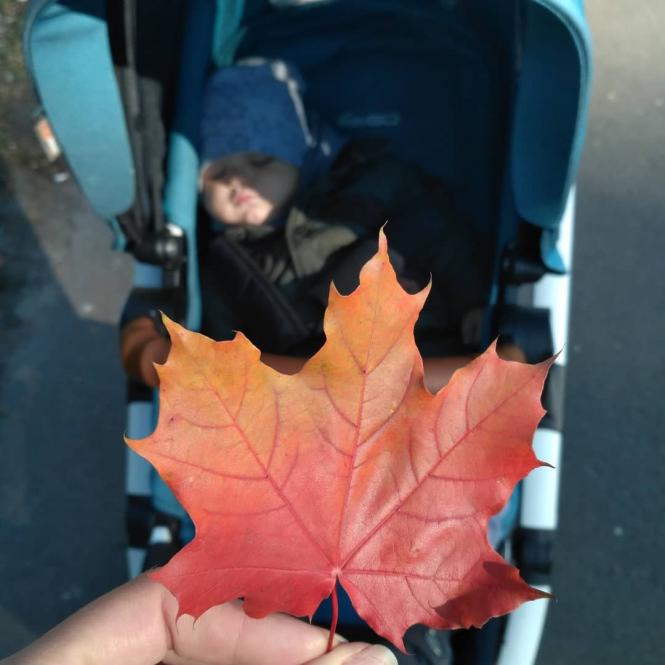 ТОП-10 місць в Тернополі, де  ще можна зробити осінню фотосесію (підбірка з Іnstagram), фото №7 на сайті 20minut.ua