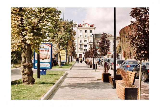 На изображении может находиться: дерево, растение и на улице