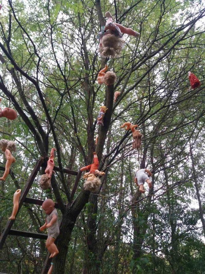 Новини Вінниці - фото з Моторошна знахідка: у Жмеринському районі невідомі розвішали на дереві старі ляльки Моторошна знахідка: у Жмеринському районі невідомі розвішали на дереві старі ляльки, фото №1 на сайті 20minut.ua