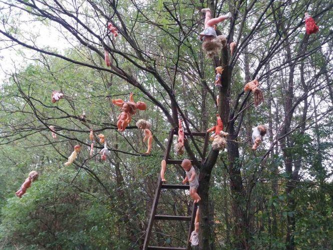 Новини Вінниці - фото з Моторошна знахідка: у Жмеринському районі невідомі розвішали на дереві старі ляльки Моторошна знахідка: у Жмеринському районі невідомі розвішали на дереві старі ляльки, фото №2 на сайті 20minut.ua