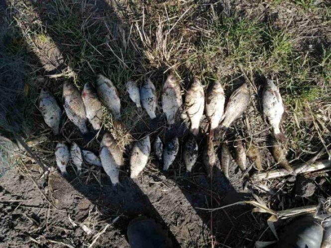 З рибалки до суду. У Хмельницькому спіймали браконьєрів з сітками, фото №1 на сайті vsim.ua