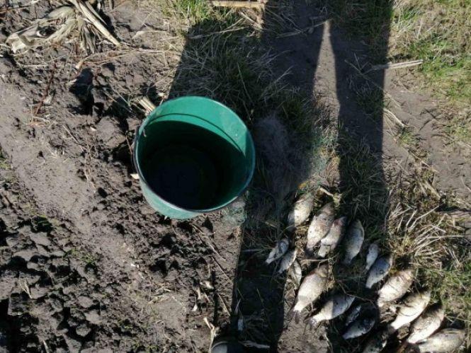 З рибалки до суду. У Хмельницькому спіймали браконьєрів з сітками, фото №2 на сайті vsim.ua