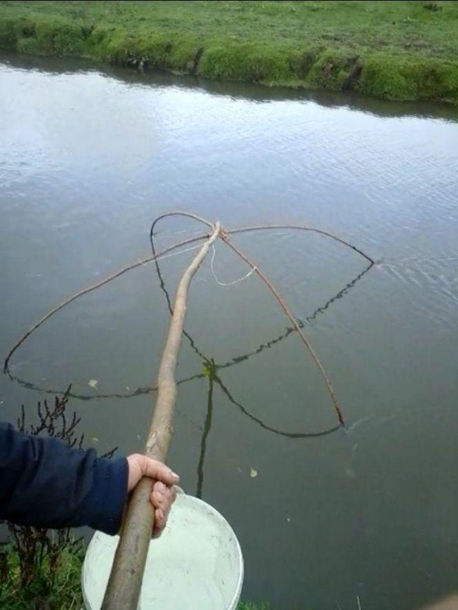 Новини Тернополя - фото з На Тернопільщині не припиняється незаконний вилов риби і раків На Тернопільщині не припиняється незаконний вилов риби і раків, фото №3 на сайті 20minut.ua