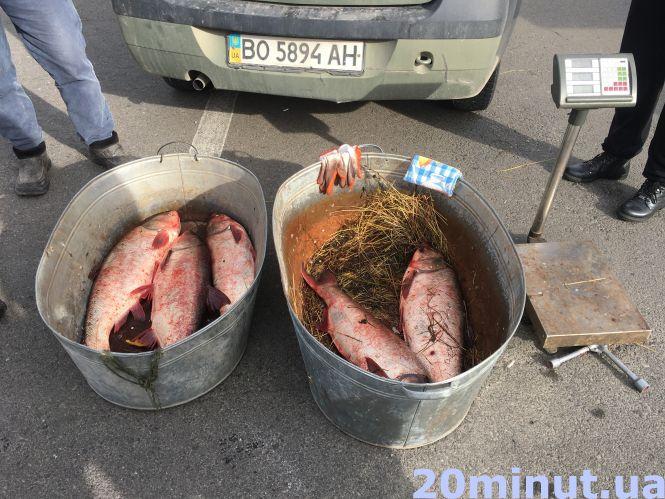 “Всі продукти набагато дешевші, а ще й домашні”: у Тернополі проходять ярмарки, фото №4 на сайті 20minut.ua