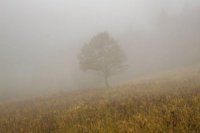Новини Вінниці - фото з Цей день 12 жовтня: чим увійшов в історію, цікавинки та прикмети Цей день 12 жовтня: чим увійшов в історію, цікавинки та прикмети, фото №2 на сайті 20minut.ua