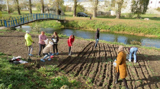 Новини Тернополя - фото з На Тернопільщині буде своя "Долина нарцисів" На Тернопільщині буде своя "Долина нарцисів", фото №2 на сайті 20minut.ua