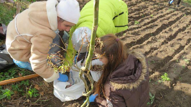 Новини Тернополя - фото з На Тернопільщині буде своя "Долина нарцисів" На Тернопільщині буде своя "Долина нарцисів", фото №4 на сайті 20minut.ua