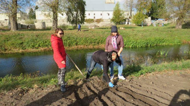 Новини Тернополя - фото з На Тернопільщині буде своя "Долина нарцисів" На Тернопільщині буде своя "Долина нарцисів", фото №3 на сайті 20minut.ua
