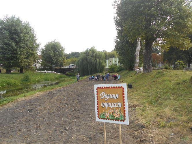 Новини Тернополя - фото з На Тернопільщині буде своя "Долина нарцисів" На Тернопільщині буде своя "Долина нарцисів", фото №1 на сайті 20minut.ua