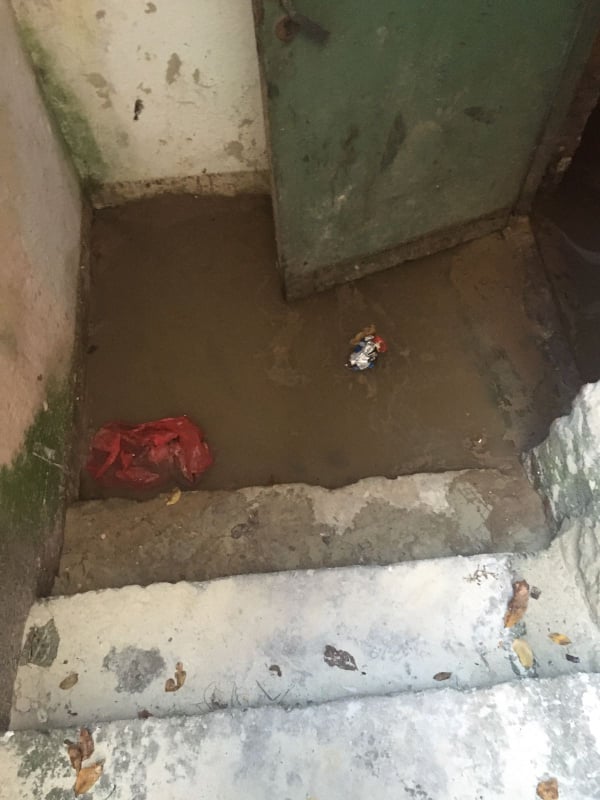 На Чубинського затопило підвал. Комунальники кажуть, що мешканці кидають в унітаз капусту та підгузки, фото №1 на сайті 20minut.ua