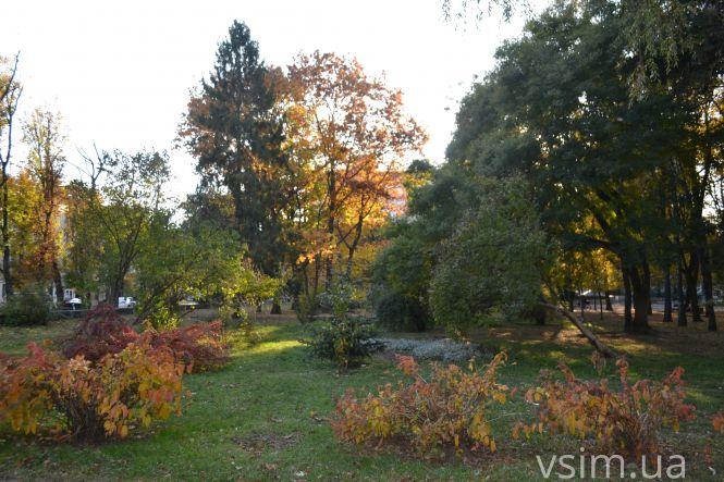 Хмельничани окупували парки в пошуках “осінніх фото”, фото №12 на сайті vsim.ua