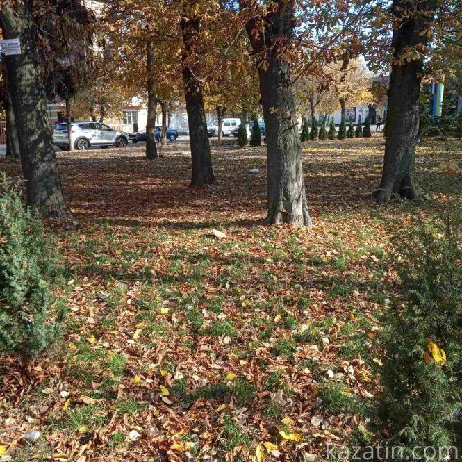 Новини Козятина - фото з Козятинський парк сьогодні, 20 жовтня: жовтогаряче листя в перемішку зі сміттям