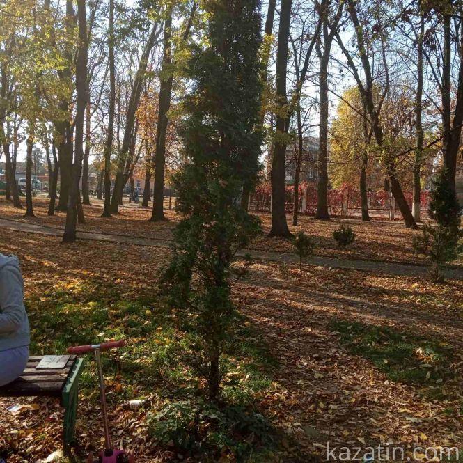 Новини Козятина - фото з Козятинський парк сьогодні, 20 жовтня: жовтогаряче листя в перемішку зі сміттям