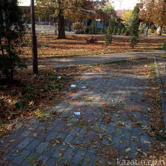 Новини Козятина - фото з Козятинський парк сьогодні, 20 жовтня: жовтогаряче листя в перемішку зі сміттям
