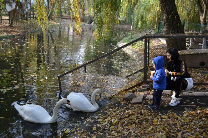 Новини Хмельницького - фото з Хворі ведмеді переїхали із хмельницького зоокутка. Як зимуватимуть інші тварини? Хворі ведмеді переїхали із хмельницького зоокутка. Як зимуватимуть інші тварини?, фото №8 на сайті vsim.ua