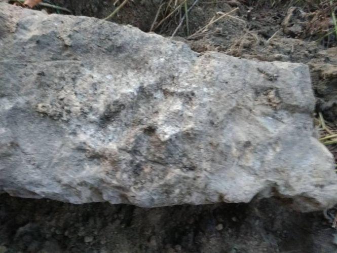 Валялась на узбіччі: поблизу Городківки виявили стелу, якій 5 тисяч років, фото №2 на сайті 20minut.ua