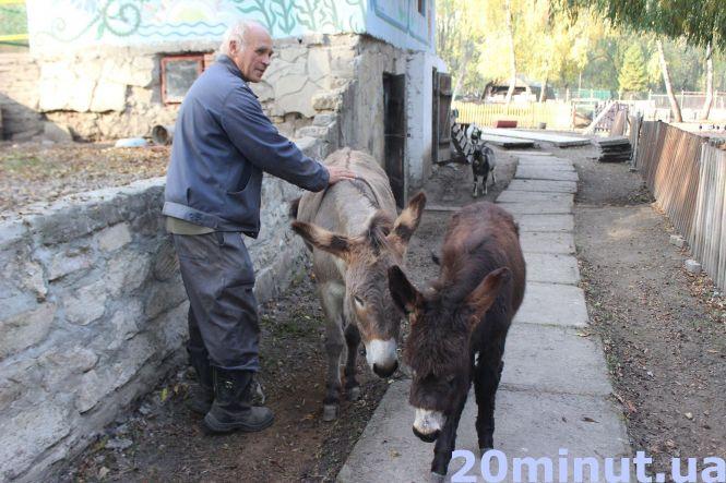 Новини Тернополя - фото з Як у зоокутку готують до зимівлі страуса Марусю, яка Павла та інших тварин (ФОТОРЕПОРТАЖ) Як у зоокутку готують до зимівлі страуса Марусю, яка Павла та інших тварин (ФОТОРЕПОРТАЖ), фото №1 на сайті 20minut.ua