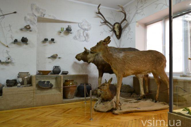 Від заспиртованих органів до Болохівських скарбів: що ховає 90-річна історія краєзнавчого музею у Хмельницькому, фото №18 на сайті vsim.ua