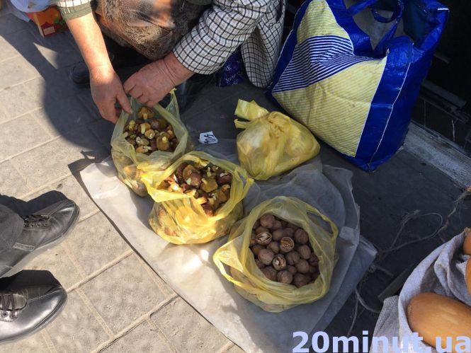 Новини Тернополя - фото з Сезон грибів: скільки коштують та як не отруїтись Сезон грибів: скільки коштують та як не отруїтись, фото №2 на сайті 20minut.ua