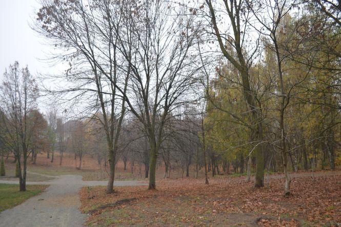 Новини Хмельницького - фото з Із фонтаном і зоною для маунт-байкінгу: в Хмельницькому з’явиться новий парк Із фонтаном і зоною для маунт-байкінгу: в Хмельницькому з’явиться новий парк, фото №1 на сайті vsim.ua