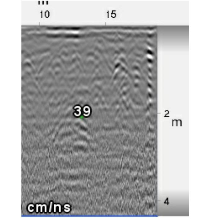 Що приховує підземелля тернопільської торговиці, фото №21 на сайті 20minut.ua