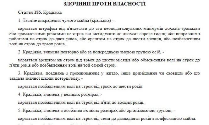 Хотіла насолити поганому сусіду. Пенсіонерка поцупила мобільний — і отримала вирок, фото №1 на сайті 20minut.ua