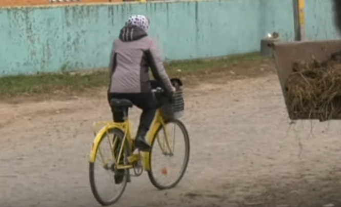 Новини Вінниці - фото з Поранили та відібрали 30 тисяч гривень. На Вінниччині напали на листоношу Поранили та відібрали 30 тисяч гривень. На Вінниччині напали на листоношу, фото №3 на сайті 20minut.ua