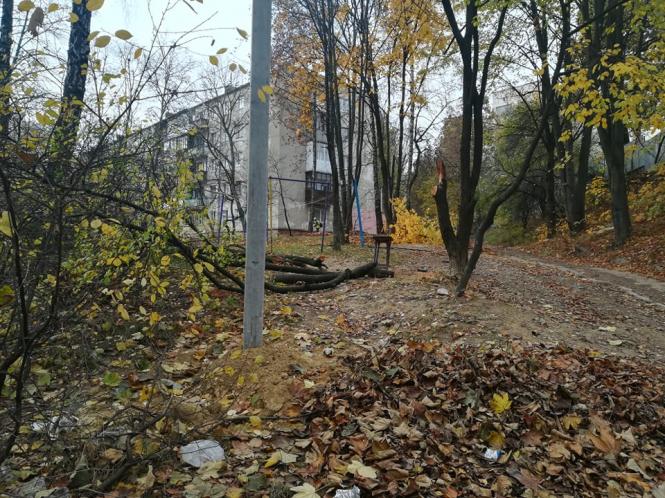 На Кривоноса монтують освітлення, місцеві викликали поліцію, бо думали, що зрізають дерева, фото №2 на сайті 20minut.ua