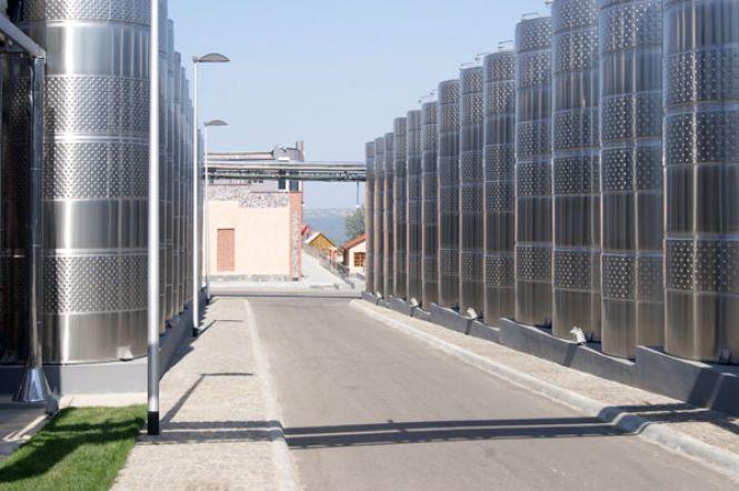 Поталанить тим, хто поїде на практику у «Шабо». Виноробна компанія відчинила двері для студентів ВНАУ, фото №7 на сайті 20minut.ua