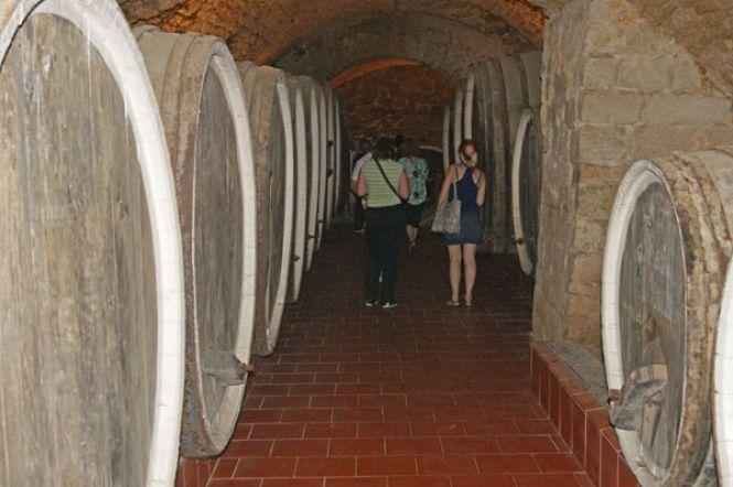 Поталанить тим, хто поїде на практику у «Шабо». Виноробна компанія відчинила двері для студентів ВНАУ, фото №8 на сайті 20minut.ua